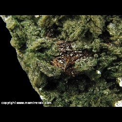 Mineral Specimen: Rutile Twinned variety Sagenite on Muscovite from Boiling Springs, Cleveland Co., North Carolina, USA Mineral Specimen: Rutile Twinned variety Sagenite on Muscovite from Boiling Springs, Cleveland Co., North Carolina, USA