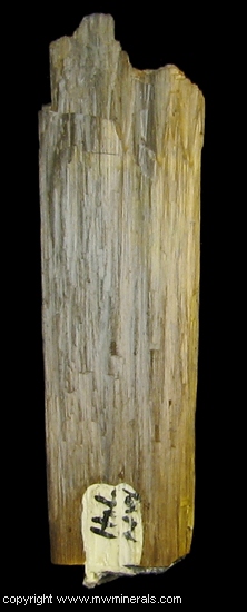 Mineral Specimen: Golden Goethtie from Marquette County, Michigan, USA