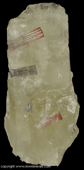 Mineral Specimen: Tourmaline on Quartz from Pederneira Mine, Sao Jose da Safira, Minas Gerais, Brazil
