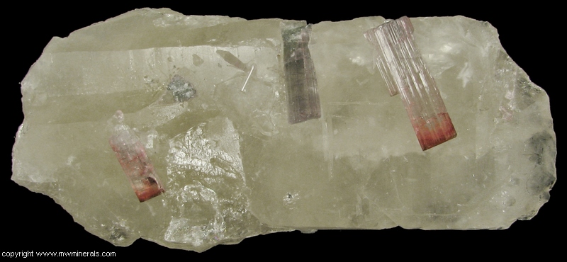 Mineral Specimen: Tourmaline on Quartz from Pederneira Mine, Sao Jose da Safira, Minas Gerais, Brazil
