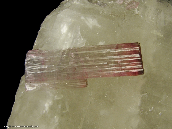 Mineral Specimen: Tourmaline on Quartz from Pederneira Mine, Sao Jose da Safira, Minas Gerais, Brazil
