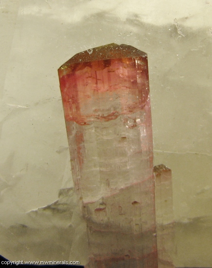 Mineral Specimen: Tourmaline on Quartz from Pederneira Mine, Sao Jose da Safira, Minas Gerais, Brazil