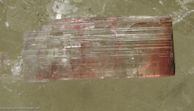 Mineral Specimen: Tourmaline on Quartz from Pederneira Mine, Sao Jose da Safira, Minas Gerais, Brazil