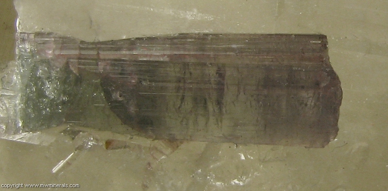 Mineral Specimen: Tourmaline on Quartz from Pederneira Mine, Sao Jose da Safira, Minas Gerais, Brazil