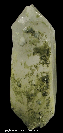 Mineral Specimen: Fluorapatite on Quartz with Unidentified Green Mineral from Panasqueira Mines, Panasqueira, Covilha, Castelo Branco District, Portugal
