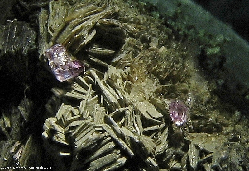 Mineral Specimen: Fluorapatite, Quartz and Mica Group from Panasqueira Mines, Panasqueira, Covilha, Castelo Branco District, Portugal