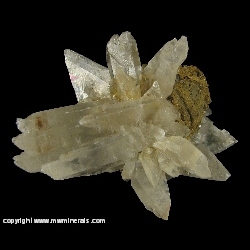 Minerals Specimen: Selenite Crystals on Red Curved Satin Spar from Fort Wahington, Prince George's County, Maryland, USA Minerals Specimen: Selenite Crystals on Red Curved Satin Spar from Fort Wahington, Prince George's County, Maryland, USA