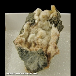 Minerals Specimen: Ferrierite from nspecified Ferrierite occurrence, Silver Mountain townsite area, Silver Mountain District, Alpine Co., California, USA Minerals Specimen: Ferrierite from nspecified Ferrierite occurrence, Silver Mountain townsite area, Silver Mountain District, Alpine Co., California, USA