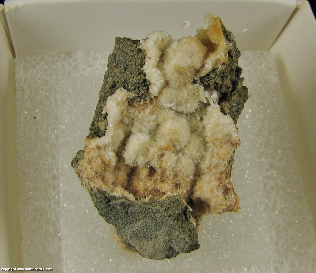 Mineral Specimen: Ferrierite from nspecified Ferrierite occurrence, Silver Mountain townsite area, Silver Mountain District, Alpine Co., California, USA