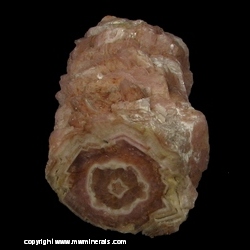 Minerals Specimen: Rhodochrosite Stalactite from Capillitas Mine, Andalgala Department, Catamarca, Argentina