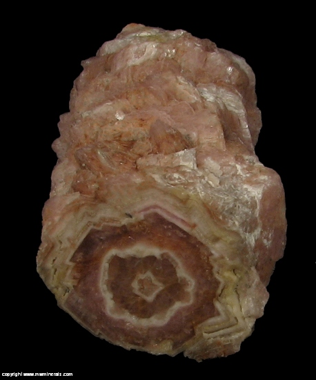 Mineral Specimen: Rhodochrosite Stalactite from Capillitas Mine, Andalgala Department, Catamarca, Argentina