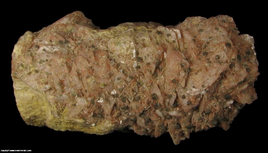 Mineral Specimen: Rhodochrosite Stalactite from Capillitas Mine, Andalgala Department, Catamarca, Argentina