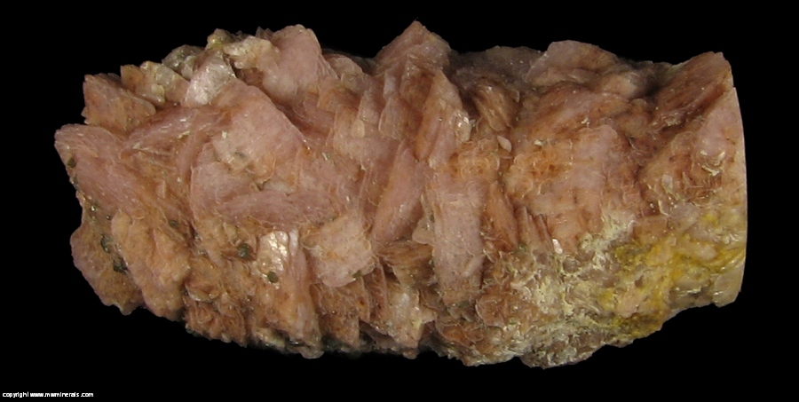 Mineral Specimen: Rhodochrosite Stalactite from Capillitas Mine, Andalgala Department, Catamarca, Argentina
