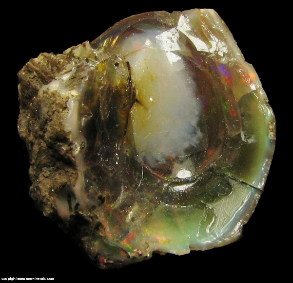 Mineral Specimen: Chocolate Opal Fossilized Plant Stem from Welo, Afar, Ethiopia