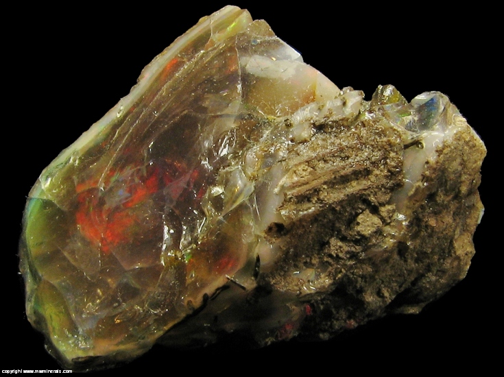 Mineral Specimen: Chocolate Opal Fossilized Plant Stem from Welo, Afar, Ethiopia