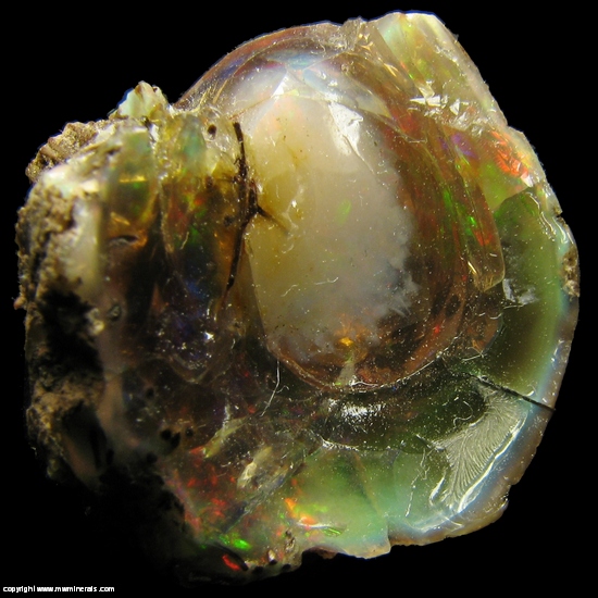 Mineral Specimen: Chocolate Opal Fossilized Plant Stem from Welo, Afar, Ethiopia