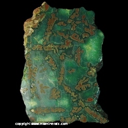 Minerals Specimen: Native Copper included in Chrysocolla from Guarapuava, Parana, Brazil Minerals Specimen: Native Copper included in Chrysocolla from Guarapuava, Parana, Brazil
