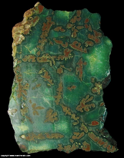 Mineral Specimen: Native Copper included in Chrysocolla from Guarapuava, Parana, Brazil