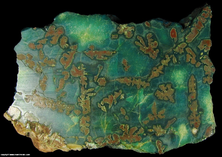Mineral Specimen: Native Copper included in Chrysocolla from Guarapuava, Parana, Brazil