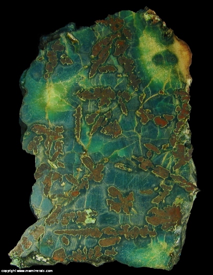 Mineral Specimen: Native Copper included in Chrysocolla from Guarapuava, Parana, Brazil
