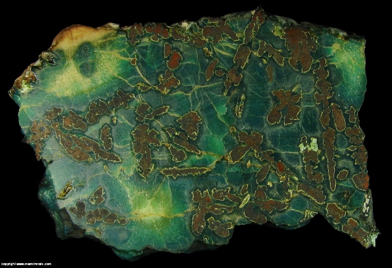 Mineral Specimen: Native Copper included in Chrysocolla from Guarapuava, Parana, Brazil