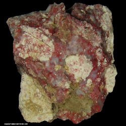 Mineral Specimen: Myrickite: Cinnabar in Common Opal from Winnemucca District, Humboldt Co., Nevada, USA