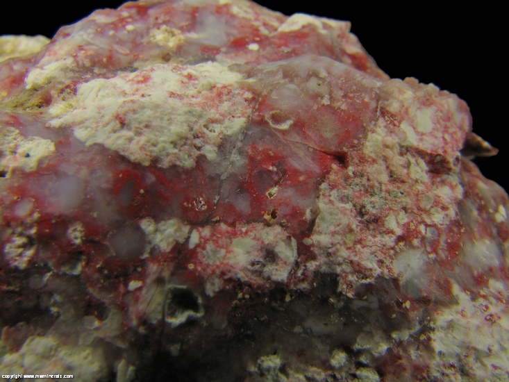 Mineral Specimen: Myrickite: Cinnabar in Common Opal from Winnemucca District, Humboldt Co., Nevada, USA