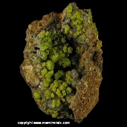 Minerals Specimen: Pyromorphite and Mottramite from Hardshell Mine, Hardshell Gulch, Harshaw, Patagonia Mts, Santa Cruz Co., Arizona, USA Minerals Specimen: Pyromorphite and Mottramite from Hardshell Mine, Hardshell Gulch, Harshaw, Patagonia Mts, Santa Cruz Co., Arizona, USA