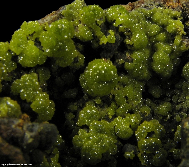 Mineral Specimen: Pyromorphite and Mottramite from Hardshell Mine, Hardshell Gulch, Harshaw, Patagonia Mts, Santa Cruz Co., Arizona, USA