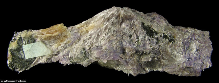 Mineral Specimen: Charoite with Tinaksite  and Aegirine from Irkutskii area, Murunskii Massif, Chara and Tokko Rivers Confluence, Aldan Shield, Irkutskaya Oblast', Prebaikalia, Eastern-Siberian Region, Russia