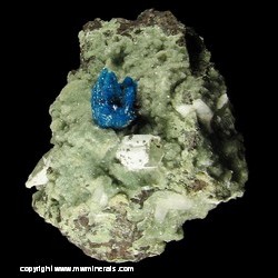 Minerals Specimen: Cavansite on Green Stilbite from Wagholi Quarry, Wagholi, Pune District (Poonah District), Maharashtra, India Minerals Specimen: Cavansite on Green Stilbite from Wagholi Quarry, Wagholi, Pune District (Poonah District), Maharashtra, India