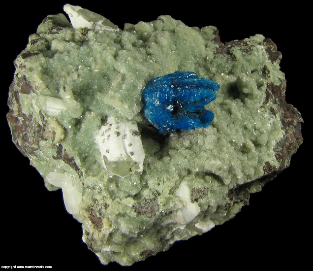 Mineral Specimen: Cavansite on Green Stilbite from Wagholi Quarry, Wagholi, Pune District (Poonah District), Maharashtra, India