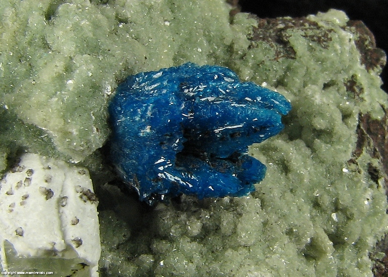 Mineral Specimen: Cavansite on Green Stilbite from Wagholi Quarry, Wagholi, Pune District (Poonah District), Maharashtra, India