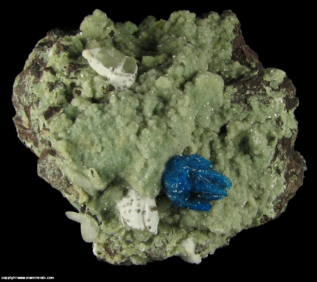Mineral Specimen: Cavansite on Green Stilbite from Wagholi Quarry, Wagholi, Pune District (Poonah District), Maharashtra, India