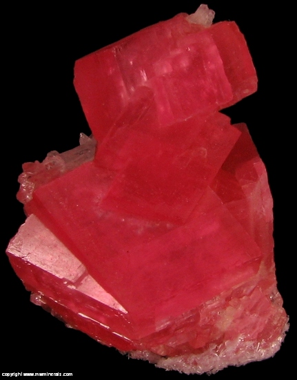 Mineral Specimen: Rhodochrosite from Sweet Home Mine, Alma, Park Co, Colorado