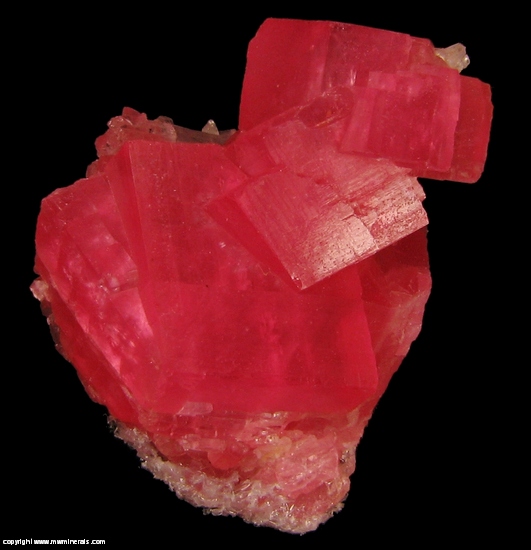 Mineral Specimen: Rhodochrosite from Sweet Home Mine, Alma, Park Co, Colorado