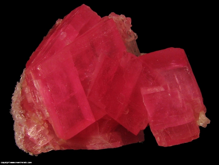 Mineral Specimen: Rhodochrosite from Sweet Home Mine, Alma, Park Co, Colorado