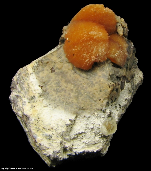 Mineral Specimen: Ferrierite from Monastir, Cagliari Province, Sardinia, Italy