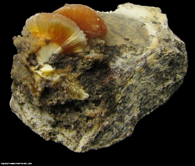 Mineral Specimen: Ferrierite from Monastir, Cagliari Province, Sardinia, Italy