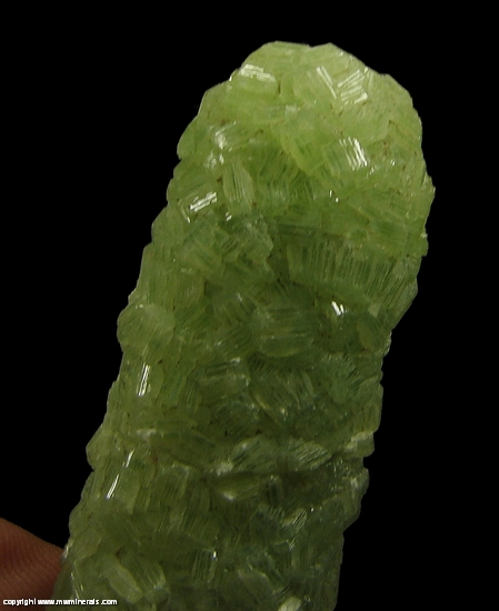 Mineral Specimen: Prehnite Cast after Laumonite from Lane & Sons Traprock quarries, Westfield, Hampden County, Massachusetts, USA