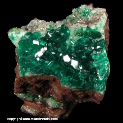 Minerals Specimen: Dioptase on Calcite from Table Mountain Mine, Table Mountain, Rattlesnake District, Galiuro Mts, Graham Co., Arizona, USA Minerals Specimen: Dioptase on Calcite from Table Mountain Mine, Table Mountain, Rattlesnake District, Galiuro Mts, Graham Co., Arizona, USA