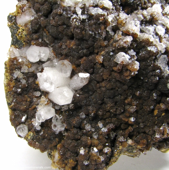 Mineral Specimen: Andradite Garnet and Quartz from El Mochito Mine, El Mocho, Santa Barbara Department, Honduras
