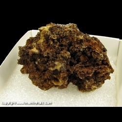 Minerals Specimen: Natrojaroiste from Vallone stope, Cape Calamita Mine, Capoliveri, Elba Island, Livorno Province, Tuscany, Italy