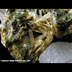 Minerals Specimen: Latiumite from Cava di Campagnano, Campagnano di Roma, Caldera di Sacrofano, Roma, Lazio, Italia