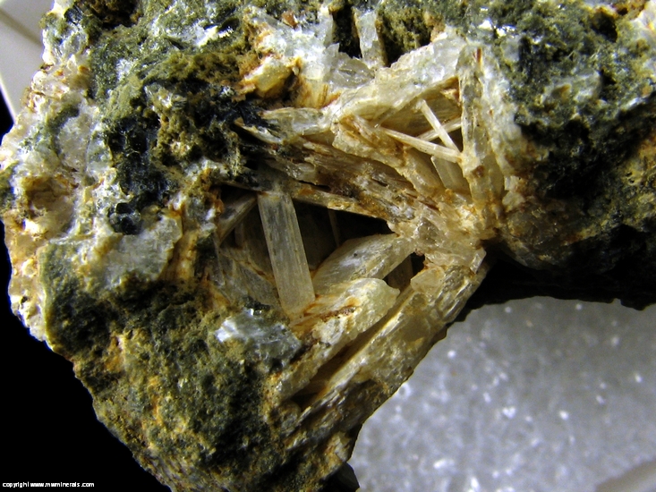Mineral Specimen: Latiumite from Cava di Campagnano, Campagnano di Roma, Caldera di Sacrofano, Roma, Lazio, Italia