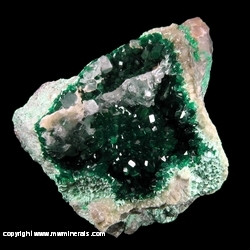 Minerals Specimen: Dioptase from Kaokoveld Plateau, Kunene Region, Namibia Minerals Specimen: Dioptase from Kaokoveld Plateau, Kunene Region, Namibia