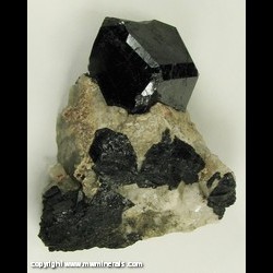 Minerals Specimen: Uvite Tourmaline from Power's Farm, Pierrepont, St. Lawrence Co., New York, USA