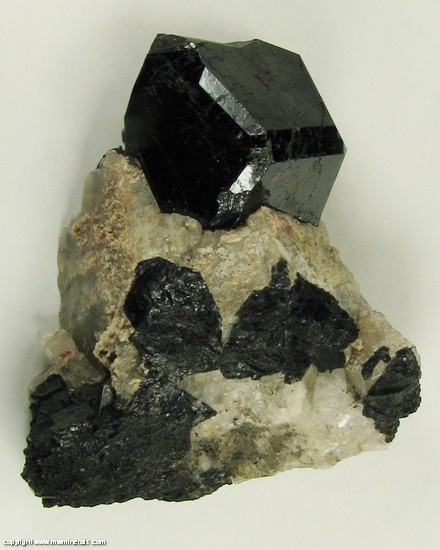 Mineral Specimen: Uvite Tourmaline from Power's Farm, Pierrepont, St. Lawrence Co., New York, USA