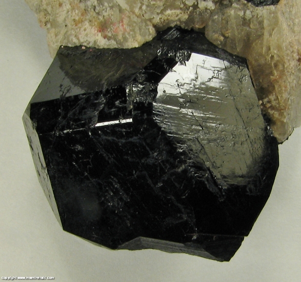 Mineral Specimen: Uvite Tourmaline from Power's Farm, Pierrepont, St. Lawrence Co., New York, USA