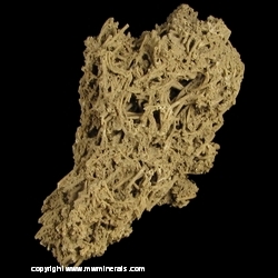 Minerals Specimen: Calcite variety: Tufa from Hot Springs, Fall River County, South Dakota, USA Minerals Specimen: Calcite variety: Tufa from Hot Springs, Fall River County, South Dakota, USA